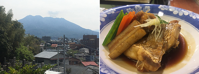 鹿児島お墓参り